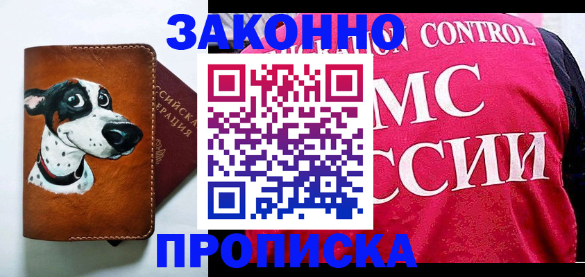 прописка 2025 в Жукове